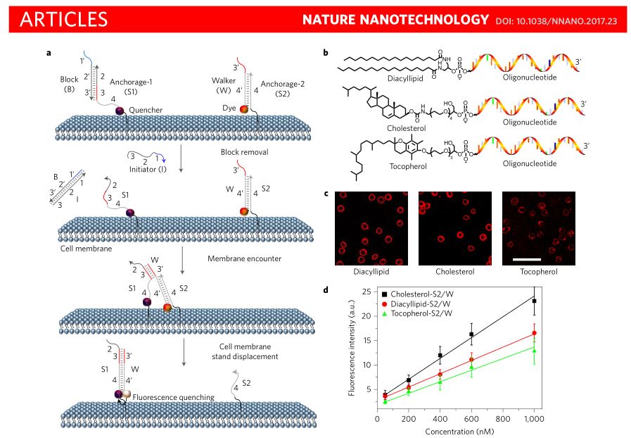 谭蔚泓教授课题组在naturenanotechnology发表研究成果开发了基于dna